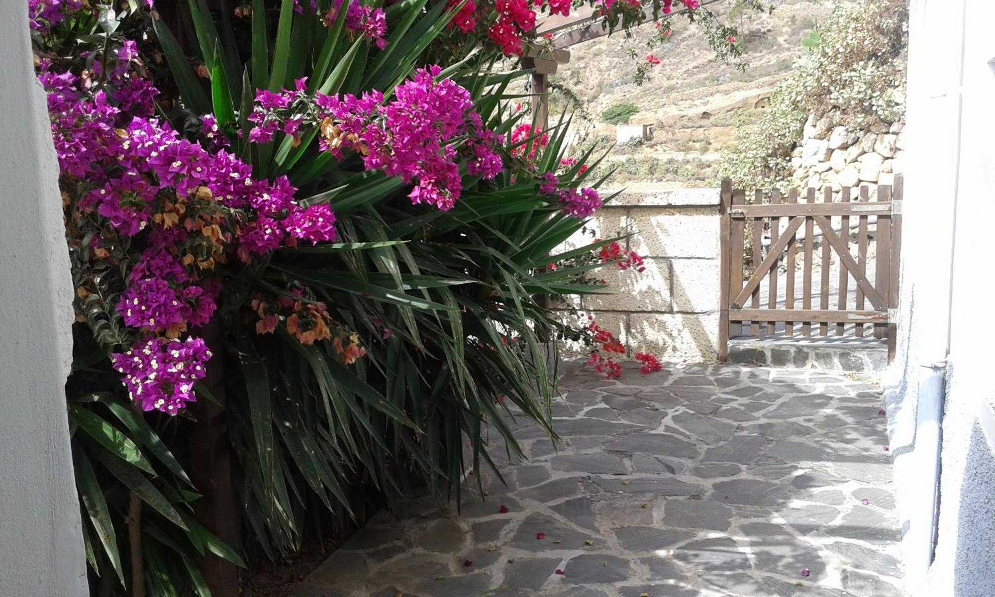 Casapancho 1 Y 2 - Casa Rural - Fasnia - Tenerife Quarto foto